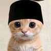 muffirr