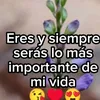 user17129604