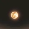 adorable.moon_