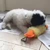 snoopssnoopssnoopy