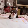agrandmasaccount
