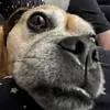 jamie_99__