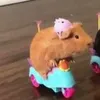 hayahasnaa