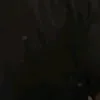 wqz133