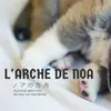 l_arche_de_noa