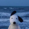 reallycoolandepicdude