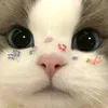 jupilu