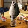 torotoro.no.toro