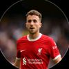 mr.g.o.a.t.777