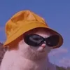 sebbusiekk