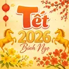 🧧 TẾT 2026 🎊🌸🌼