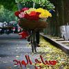 saeedmustafa02