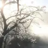 kirochka2.8