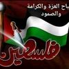 dyqoh9cqw8bh