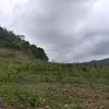ckcuaemm_19