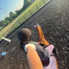 rubyw_showjumping