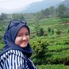 hellosyach