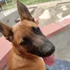araotzberazaa
