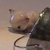 sillybillyjellyfish
