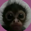 oleneeb4ik