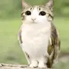 fwtiosas