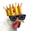 chickenatormc