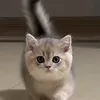 lindalsl0