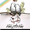 aliv445678