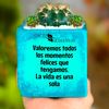 tuberquiavilla08