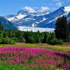 alaskan_pyros