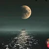 quakhu040198