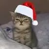 hz_matheus