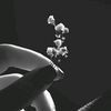 user185662481