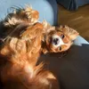 gwen.rothwell_13