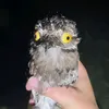 lonerearthling