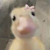 wwwje24