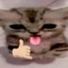 meowwyna