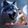 Lobo_🐺_solitario