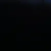 user031395979