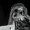 بــًّ 2000🪐.