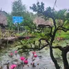 nhahangsinhthaibentre2