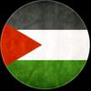 shaban_elsayaad24