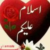 user7557271280802