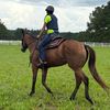 florida_kate2231
