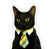 business_cat73