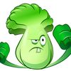 bonkchoy_pvz