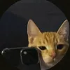whereisaxoomi