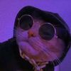 mr.attritude