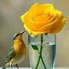 mohammad.hasany