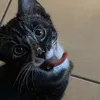 sebastiansbk0